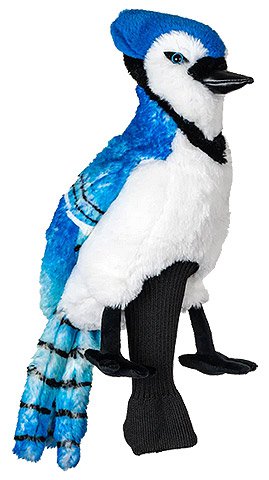 Blue Jay/Eichelhäher (DH-BJAY)