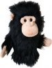 Chimpanzee/Schimpanse (DH-CHIM)