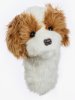 Cavapoo (DH-CAV)