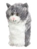Grey & White Cat (DH-GCAT)