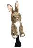 Rabbit (DH-RAB)