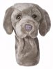 Weimaraner