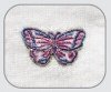 SC10 - Butterfly