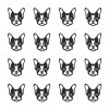  Boston Terrier (GD44-252)