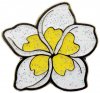 CL004-23 White Plumeria