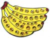 CL006-137 Banana