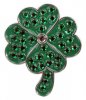 CL006-31 Clover