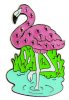 CL006-20 Flamingo