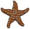 CL006-108 Starfish