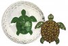 (C21) GB5031-625 Turtle silber