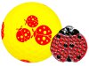 (C23) GB5527-674 Ladybug neon-gelb