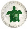GB5031 Turtle silber